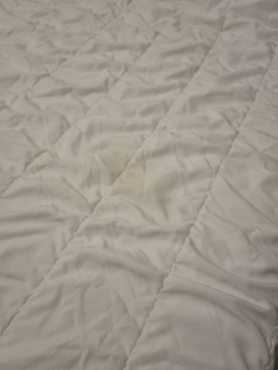 Zimmer Hotel Viva Dominicus Beach by Wyndham - All Inclusive Resort