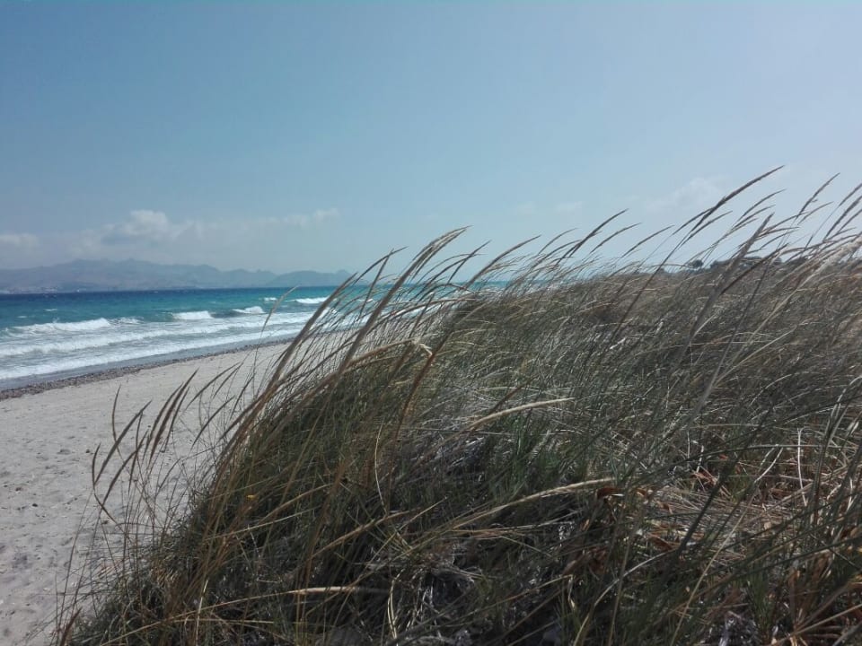 Strand Blue Lagoon Resort