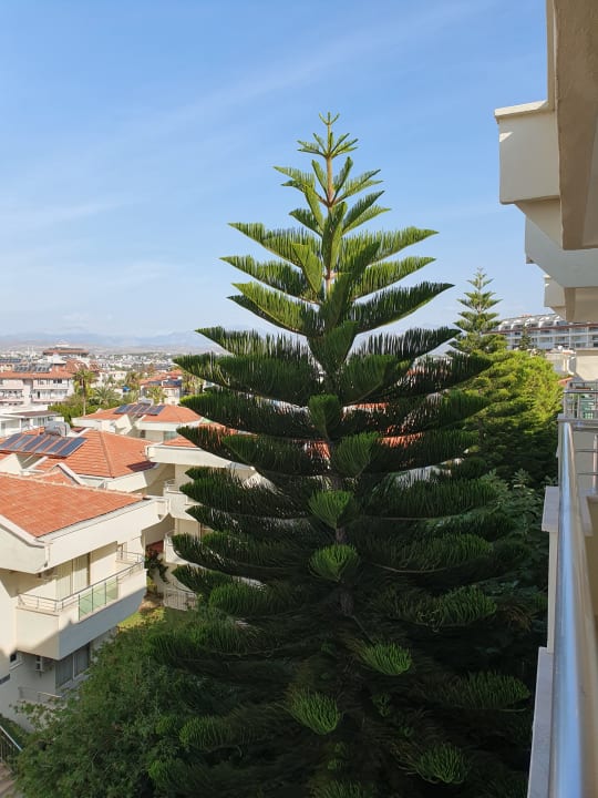 Ausblick Dream Family Club