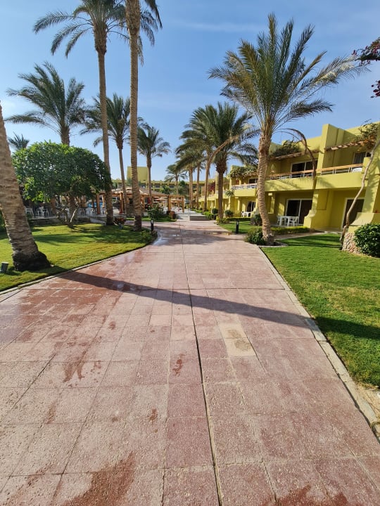 Außenansicht Palm Beach Resort