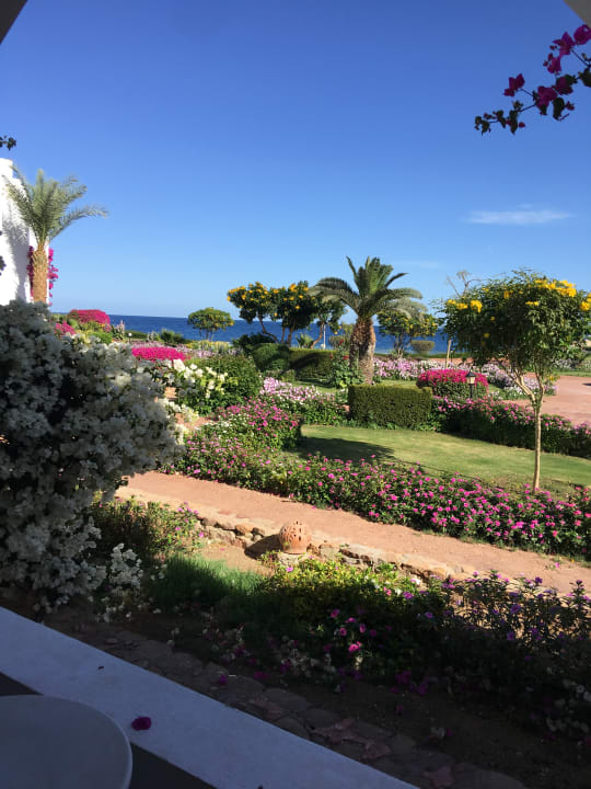 Ausblick Three Corners Equinox Beach Resort