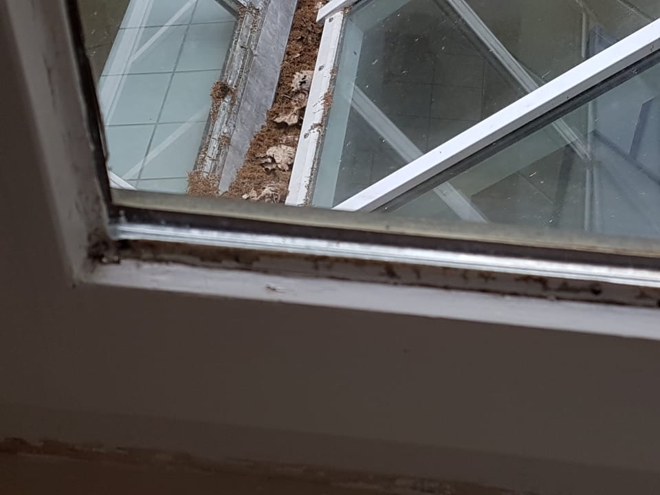 Zustand / Schmutz Ringhotel Fährhaus