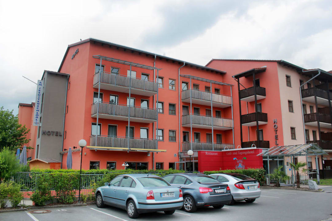 you-can-prevent-your-dog-health-length-and-energy-by-simply-cooking