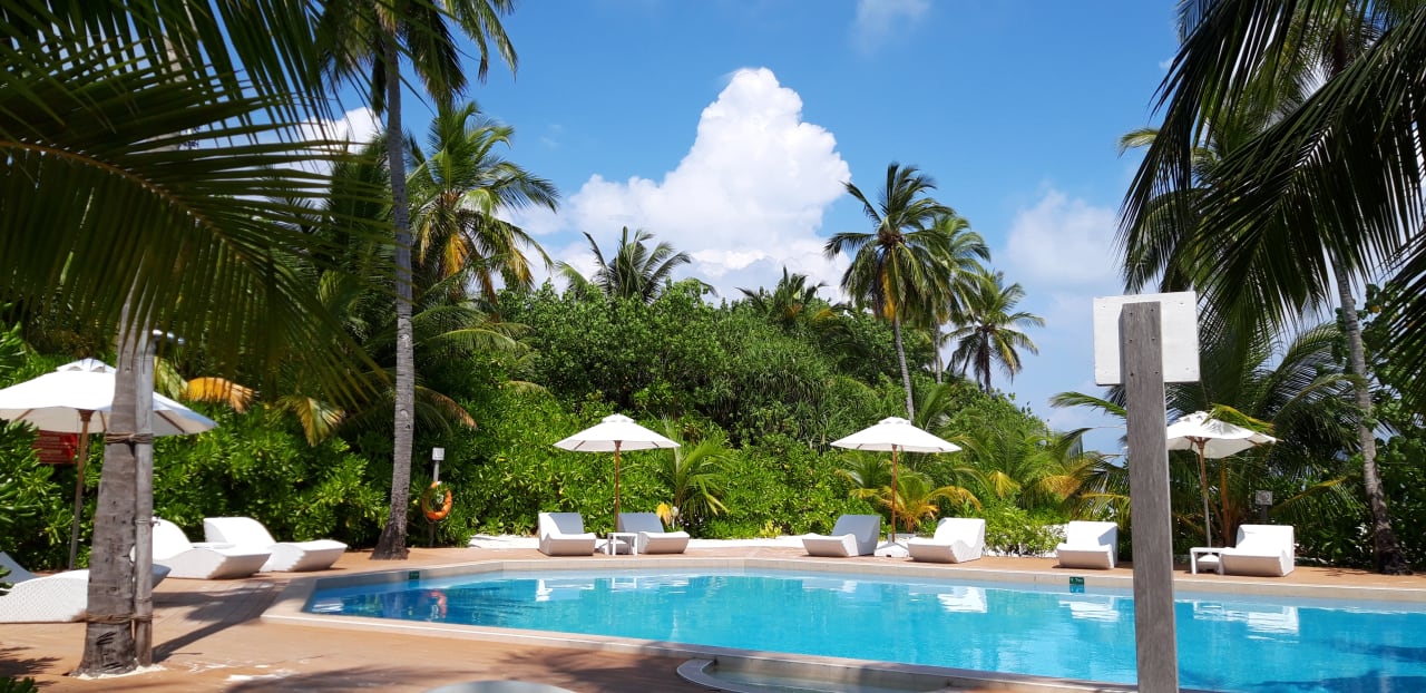 Pool Safari Island Maldives
