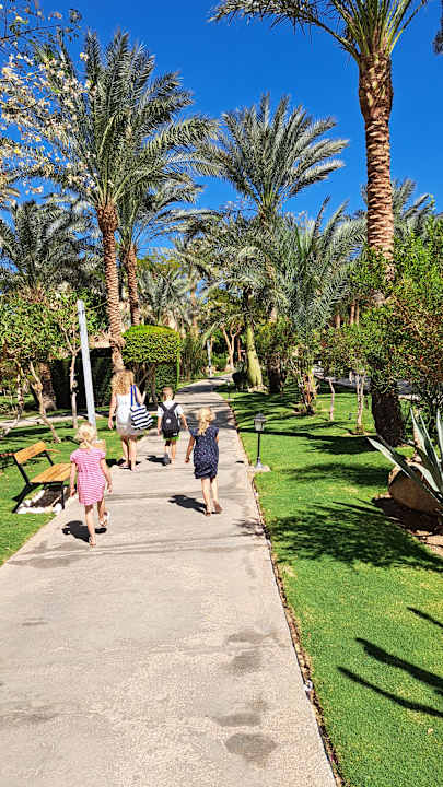 Außenansicht Jaz Makadi Saraya Resort