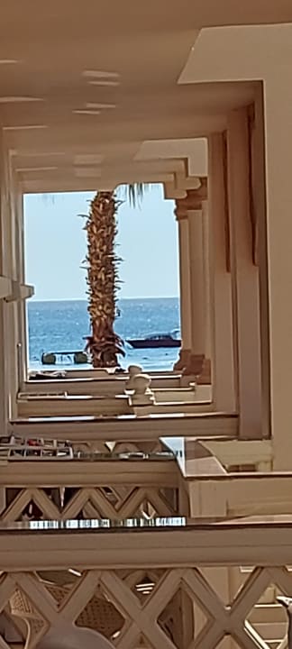 Zimmer Pickalbatros Palace Resort