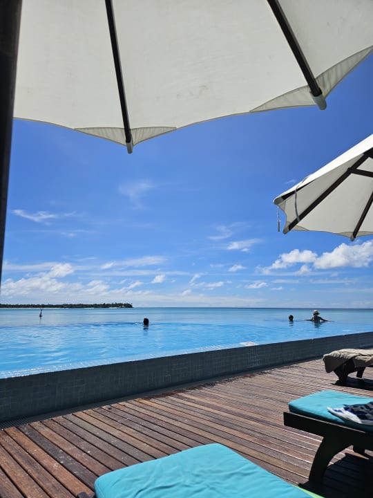 Pool Summer Island Maldives