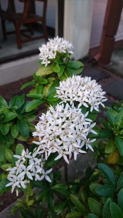 Gartenanlage The Grand Southsea Khaolak Beach Resort