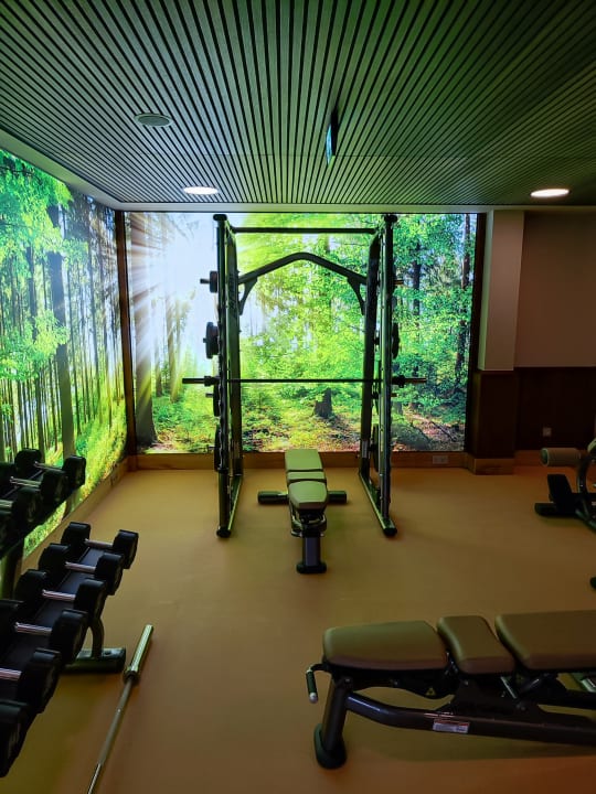 Sport & Freizeit Spirit & SPA Hotel Birkenhof am Elfenhain