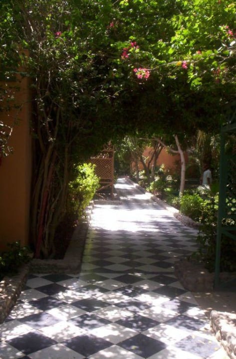 Außenanlage Giftun Azur Resort