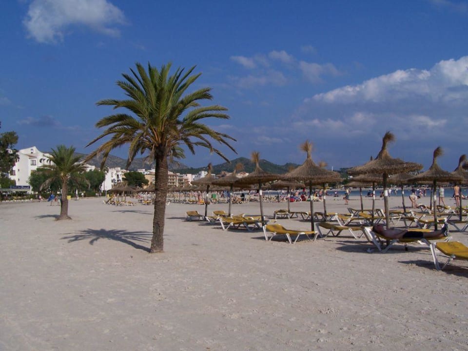 Strand vor dem Hotel VIVA Golf - Adults only 18+