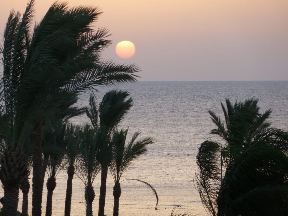 Ausblick Makadi Spa - Adults only