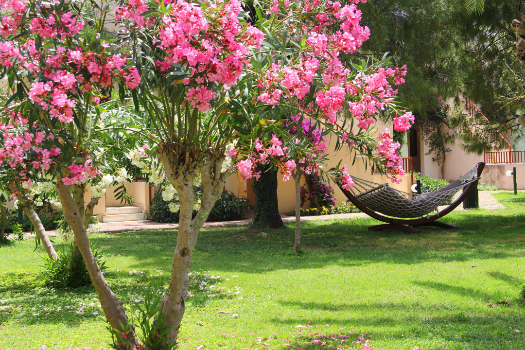 Garten VONRESORT Golden Beach