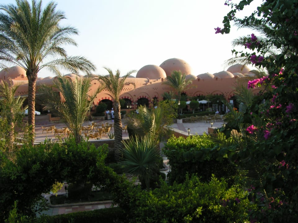 Ogród hotelowy Jaz Makadi Oasis Resort