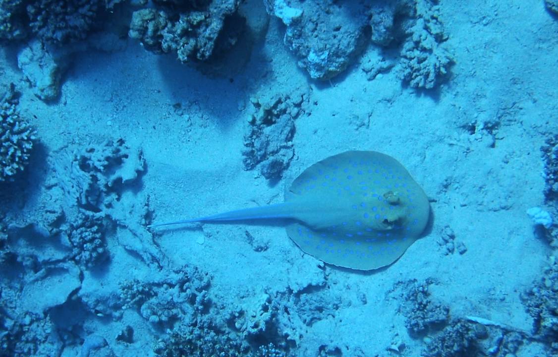 Strand Casa Mare Resort