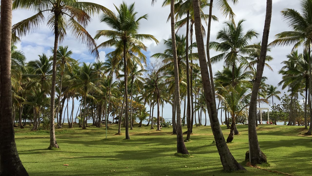 Gartenanlage Wyndham Alltra Samana