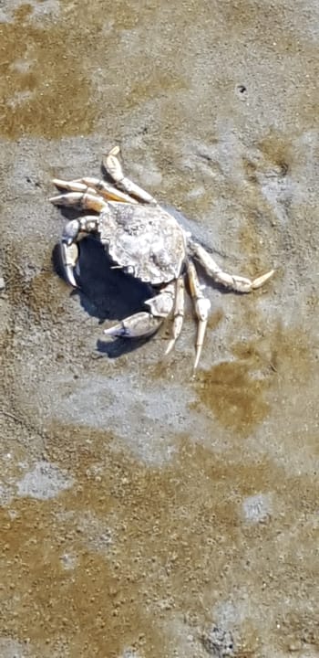 Strand Hotel Thorwarth