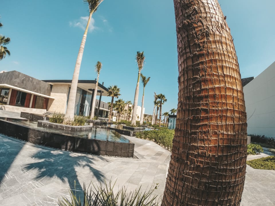 Sonstiges TRS Coral Hotel - Adults Only