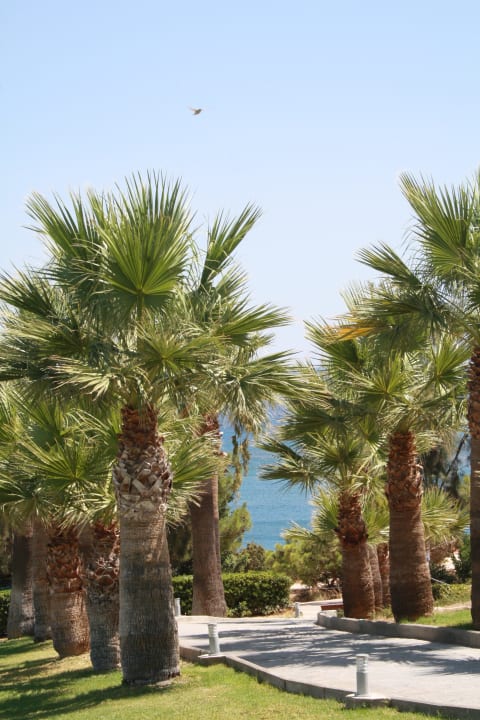 Strand Rodos Princess Beach Hotel & Spa