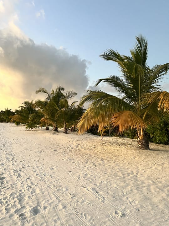 Strand South Palm Resort Maldives