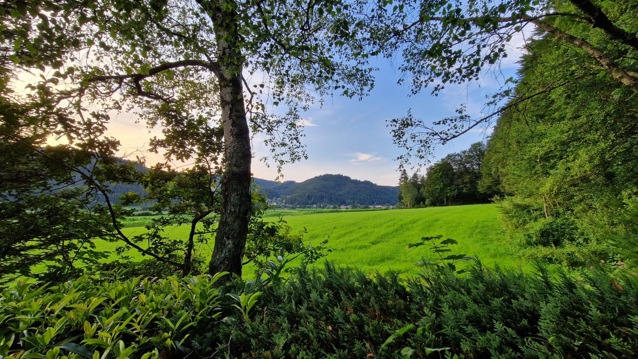 Ausblick Silberkönig Schwarzwald Hotel & Restaurant Ringhotel