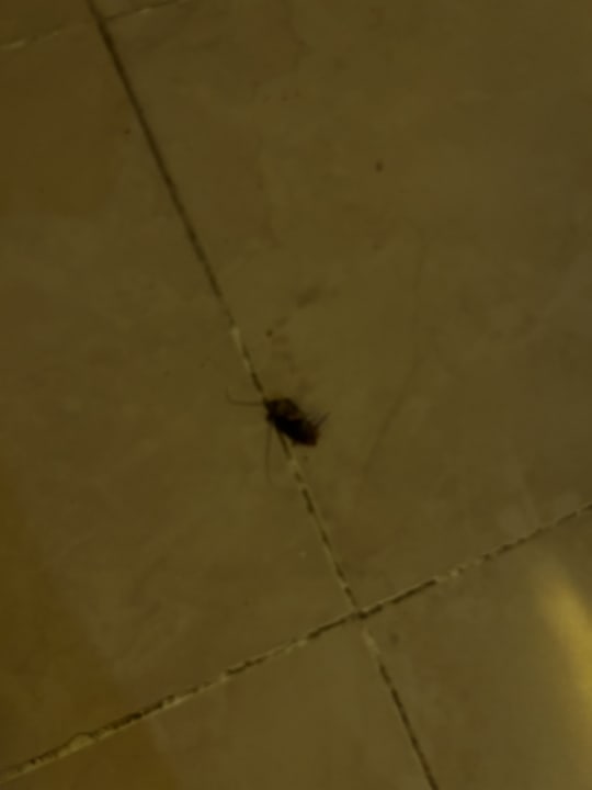 Zimmer Mahdia Beach & Aquapark