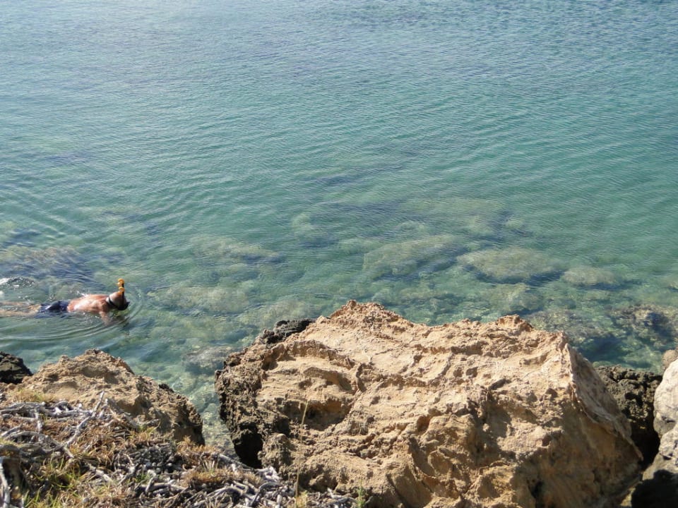 Crystal Springs Beach Hotel Crystal Springs Beach Hotel