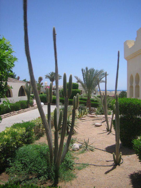 Garten Charmillion Club Resort