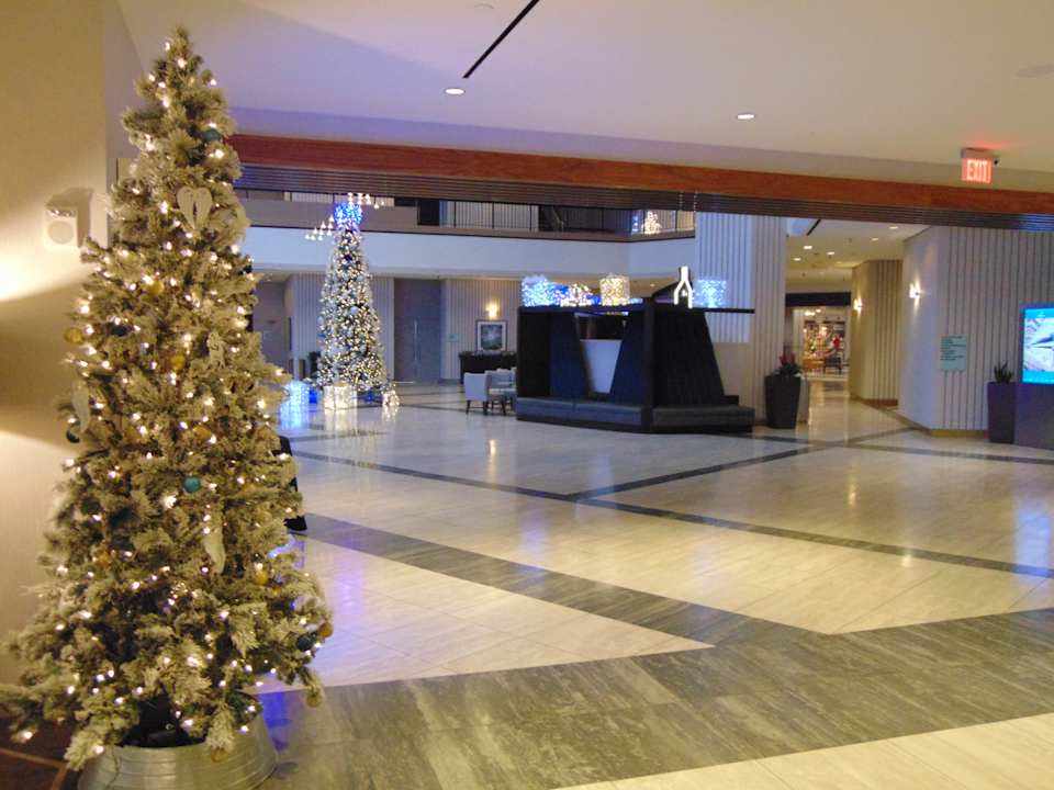 Lobby Hotel Hilton Atlanta