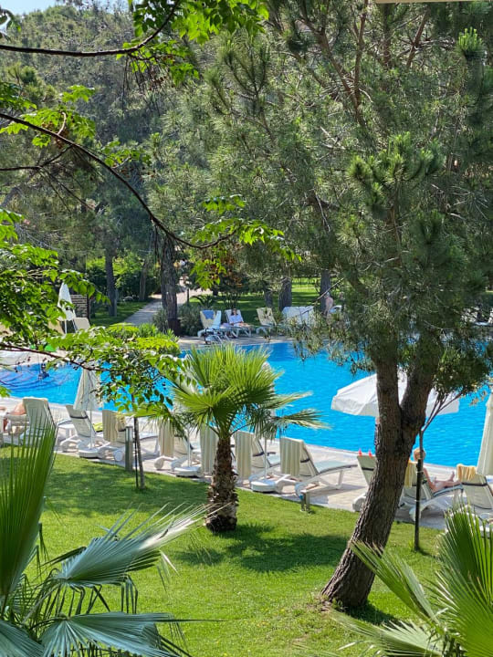 Pool Xanadu Resort Hotel