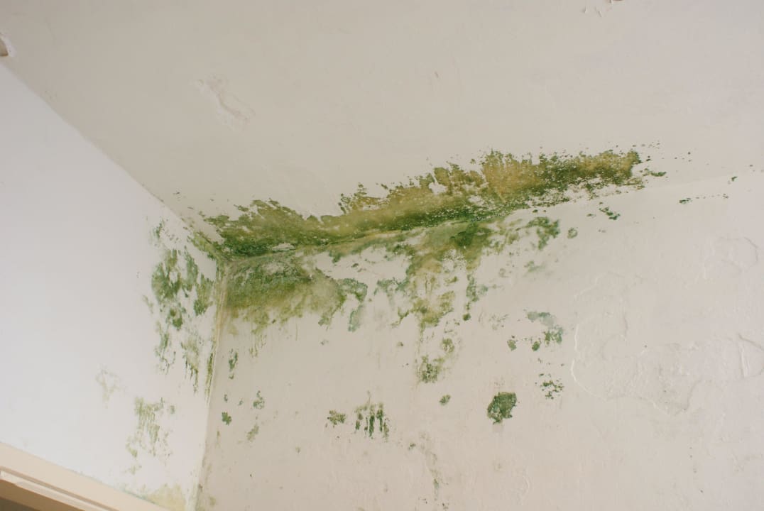 WC in der Tauchbasis Comino Hotel & Bungalows