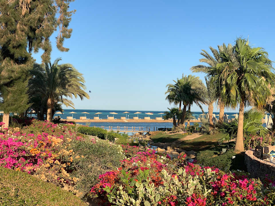 Garten Mövenpick Resort & Spa El Gouna