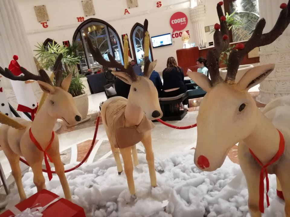 Sonstiges Sentido Caribbean World Soma Bay