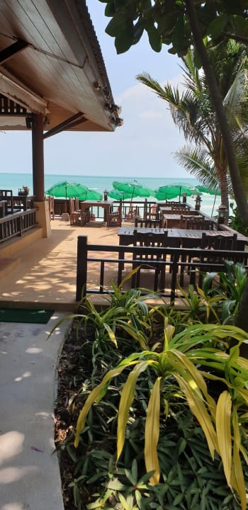 Terrasse Vor Dem Strand Hotel Baan Chaweng Beach Resort Spa Chaweng Beach Holidaycheck