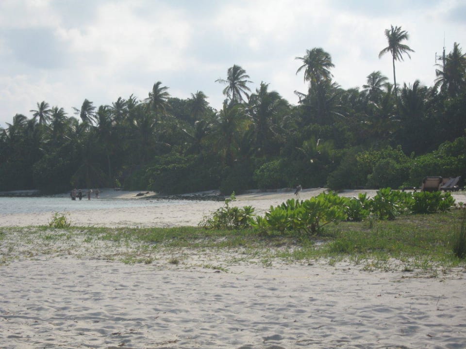 Strandabschnitt Beachbungalows Kuredu Island Resort & Spa