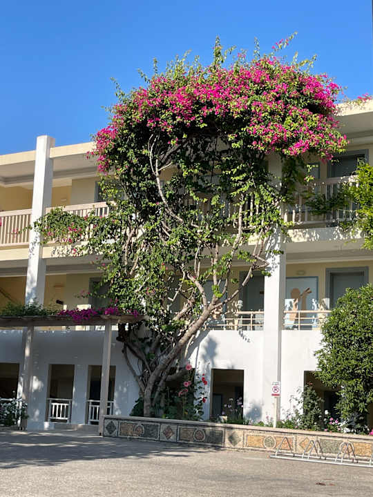 Außenansicht Golden Beach Rethymnon