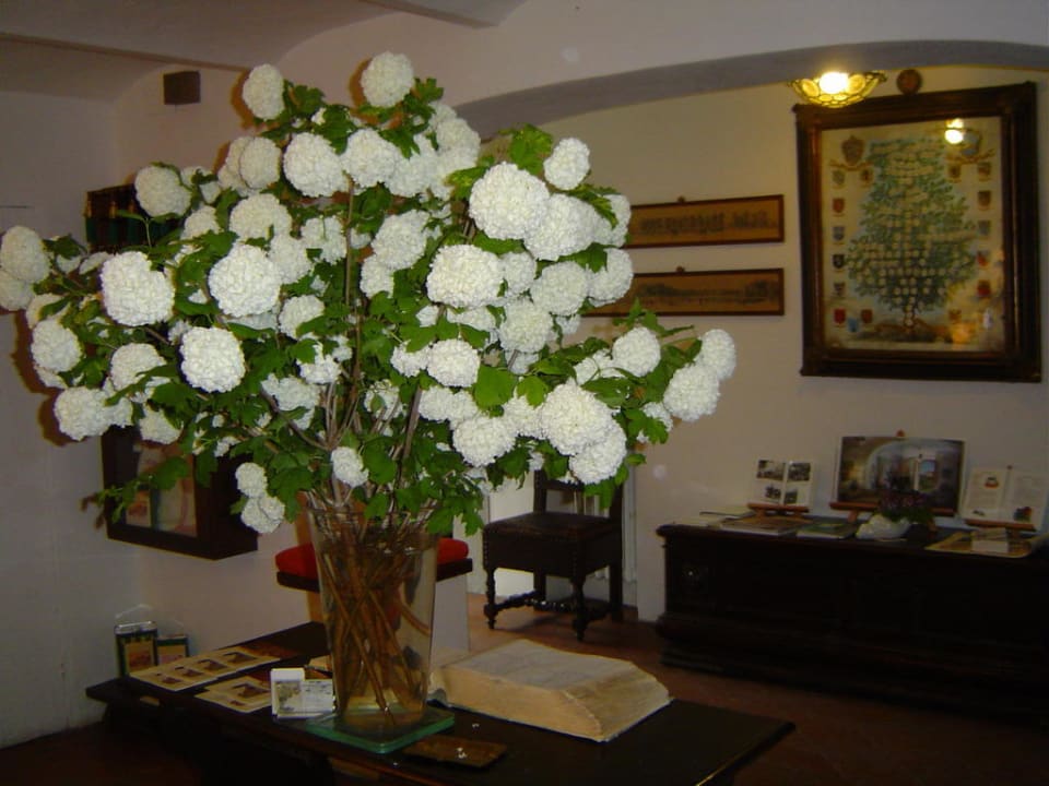 Welcome at reception at Villa Le Barone Hotel Villa Le Barone
