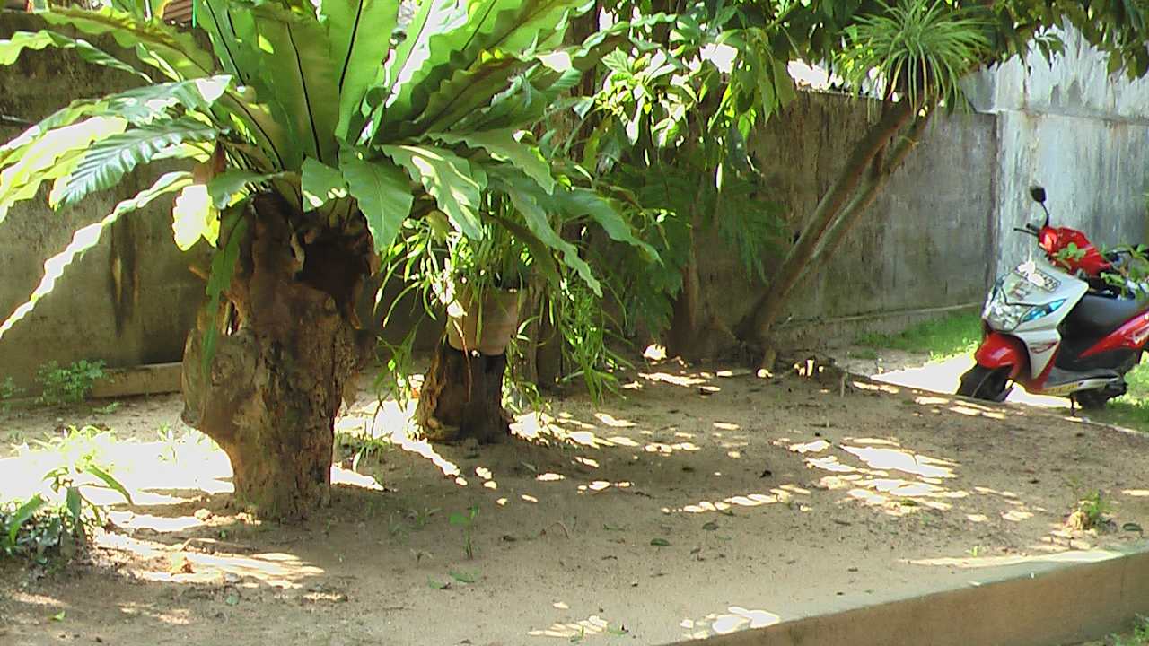 Gartenanlage Sunshine Guesthouse