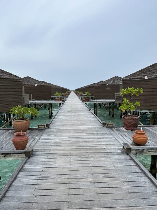 Außenansicht Meeru Maldives Resort Island