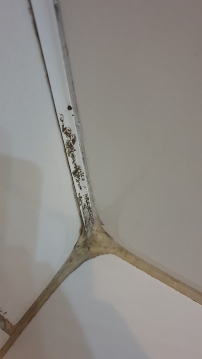 Zimmer Side Win Hotel & Spa