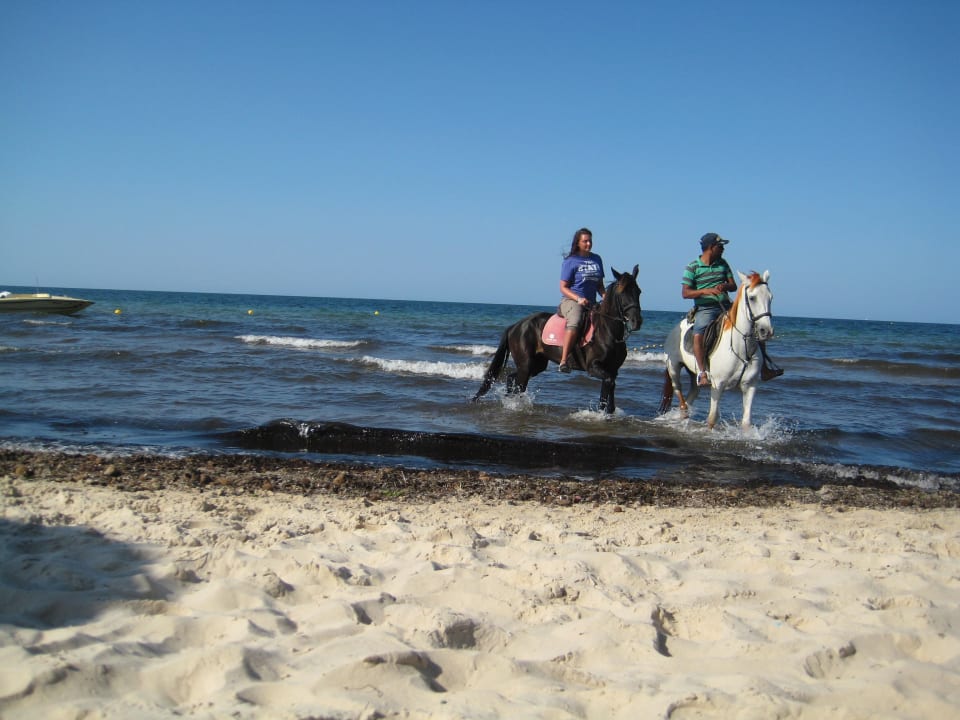 Hier deutlich das Seegras zu sehen Monarque Club Rivage