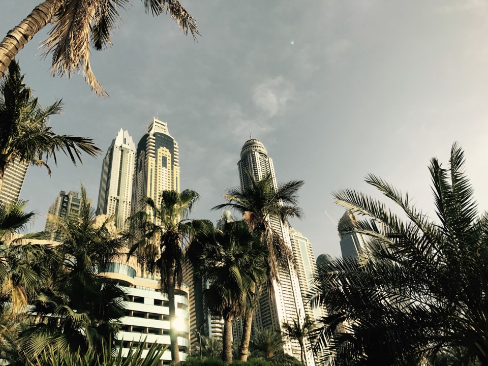 Gartenanlage Le Meridien Mina Seyahi Beach Resort & Waterpark