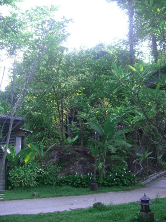Im Garten Moracea by Khao Lak Resort