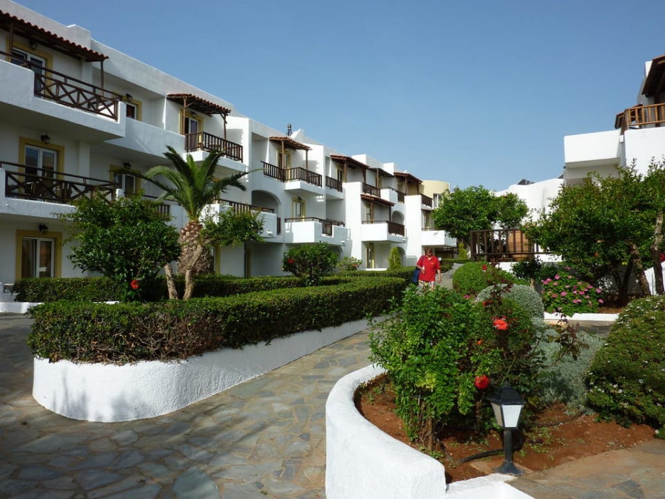 Zimmer Alexander Beach Hotel & Village Resort