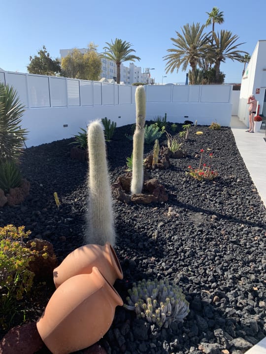 Gartenanlage Hotel Islas Paraiso