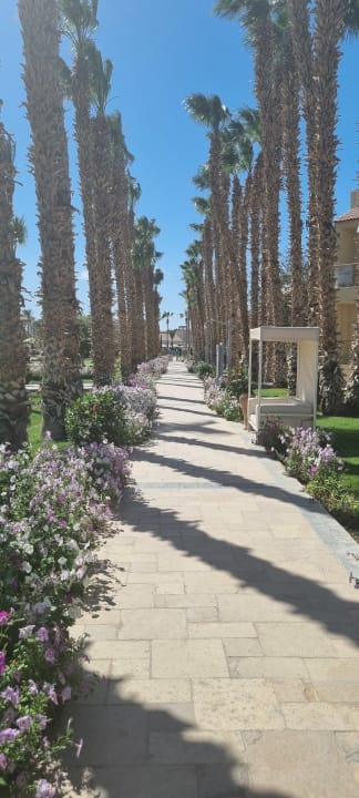 Gartenanlage Beach Albatros Resort