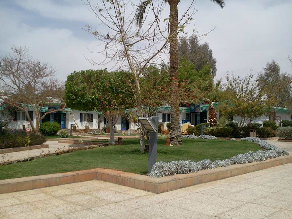 Einfach nur traumhaft schön Ghazala Beach