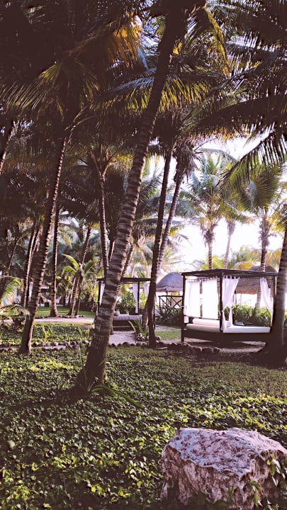 Strand El Dorado Royale