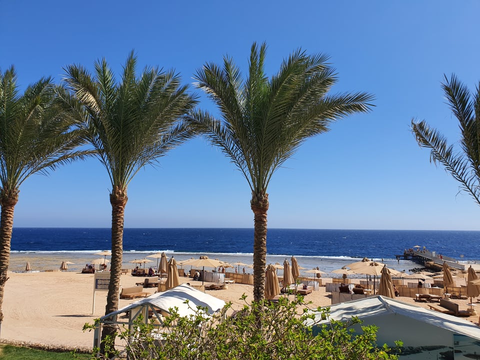 Strand Serenity Alpha Beach