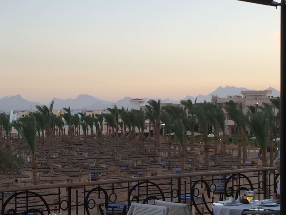 Ausblick Beach Albatros Resort